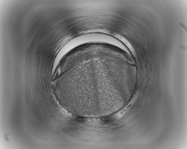 X0000098080809200804181157