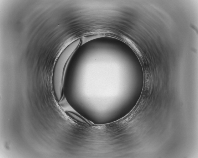 X0000098080810200804181157