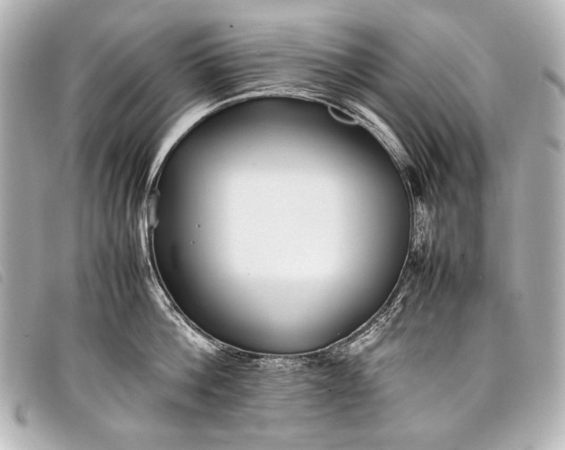 X0000098080812200804181157