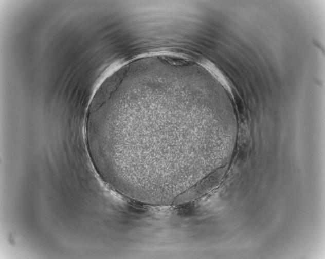 X0000098080813200804181157