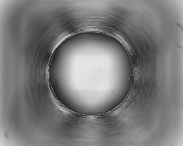 X0000098080814200804181157