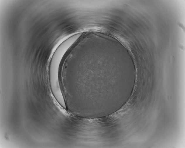 X0000098080816200804181157