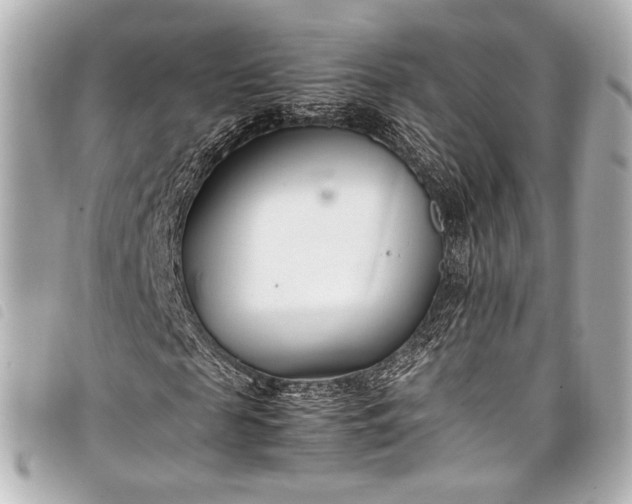 X0000098080817200804181156