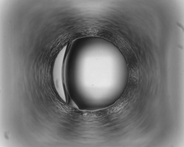 X0000098080818200804181156