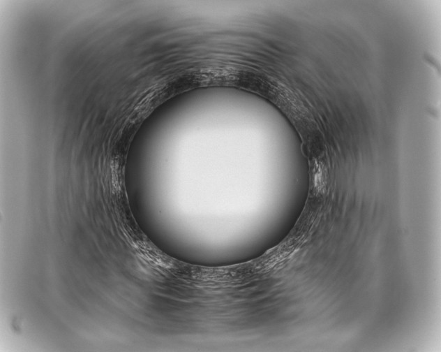 X0000098080819200804181156