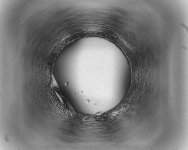 X0000098080821200804181156