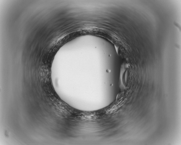 X0000098080822200804181156