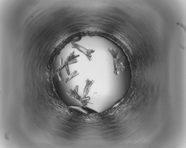 X0000098080823200804181156