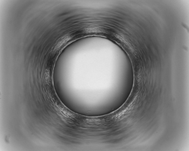 X0000098080825200804181156