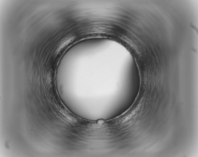 X0000098080826200804181156