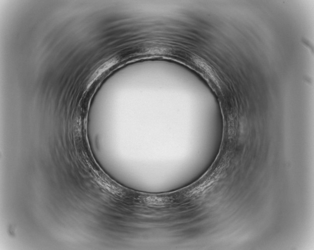 X0000098080827200804181156