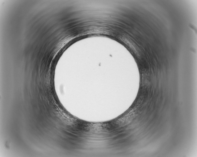 X0000098080828200804181156