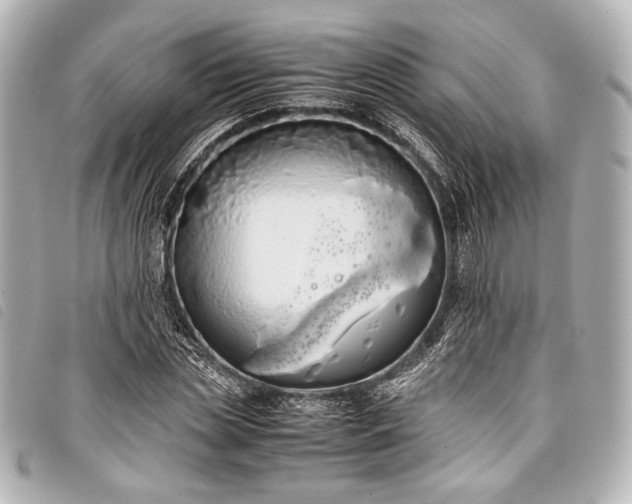 X0000098080829200804181156