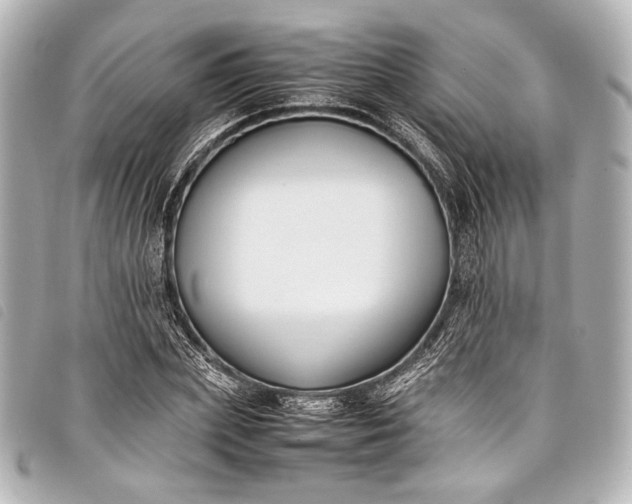 X0000098080831200804181156