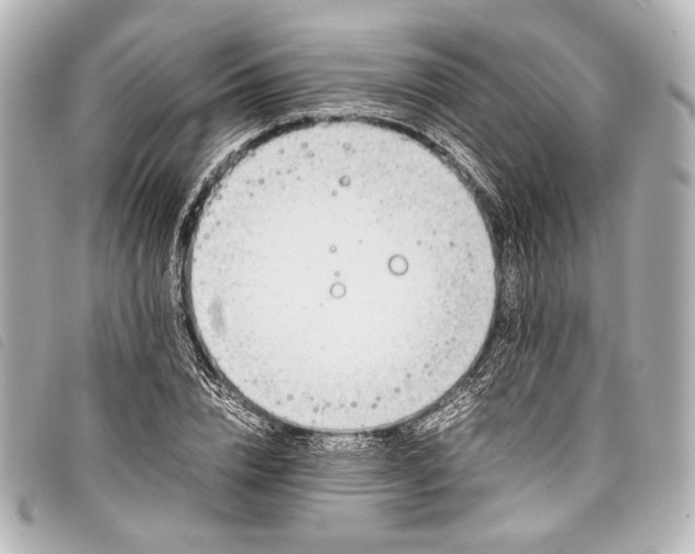 X0000098080832200804181156