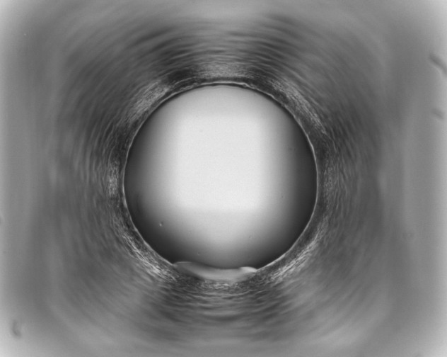 X0000098080833200804181156