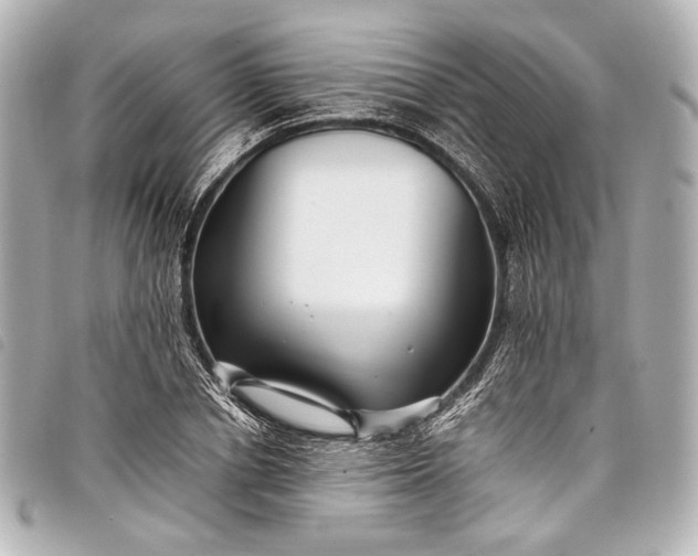 X0000098080834200804181156