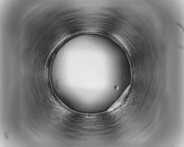 X0000098080835200804181156