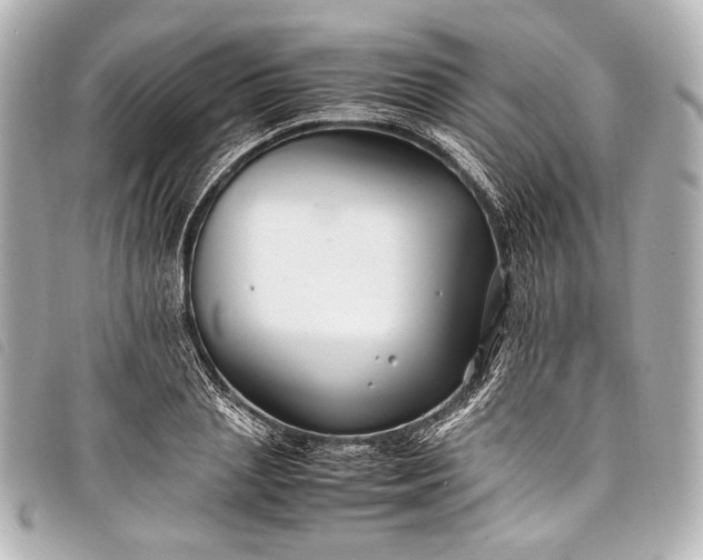 X0000098080837200804181156