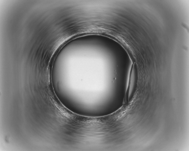 X0000098080838200804181156