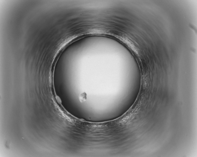 X0000098080839200804181156