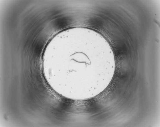 X0000098080840200804181156