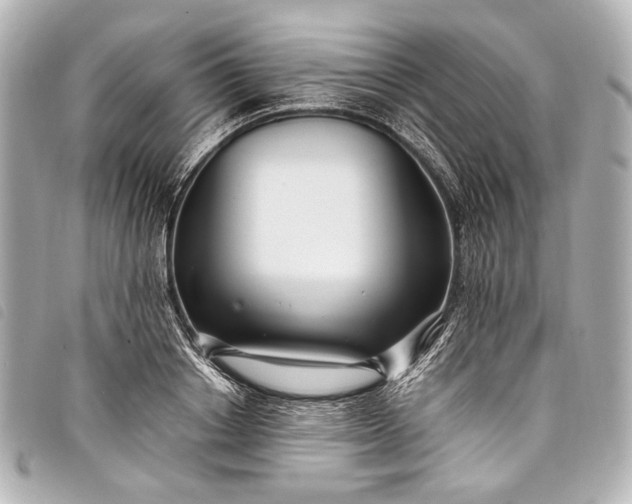 X0000098080842200804181156