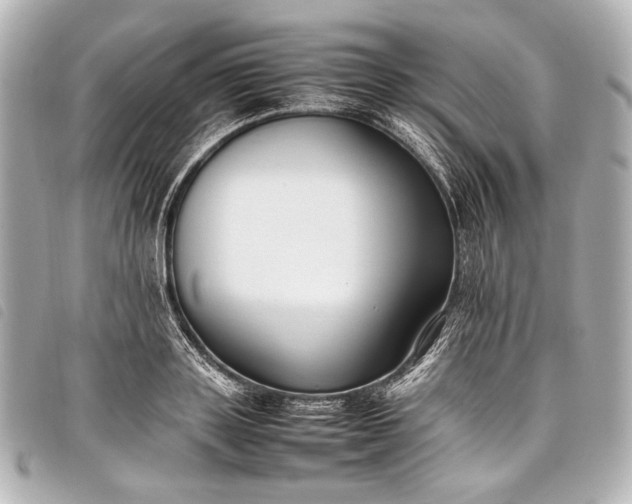 X0000098080843200804181156