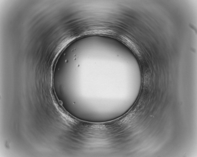 X0000098080844200804181156