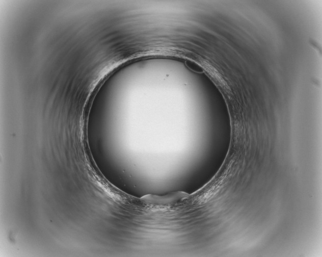 X0000098080846200804181156