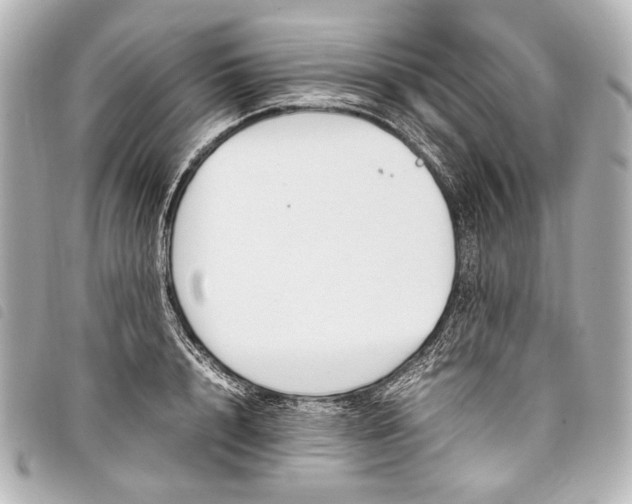 X0000098080848200804181156