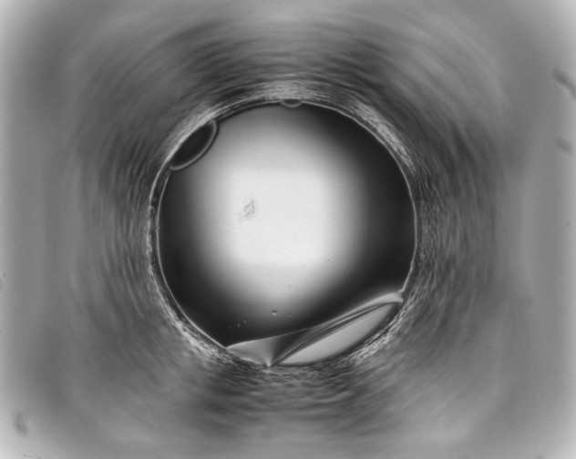 X0000098080853200804181157