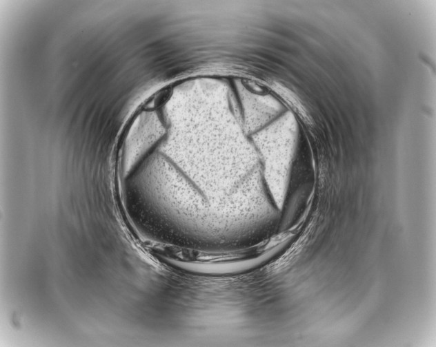 X0000098080854200804181157