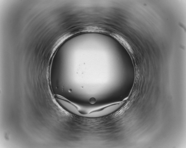 X0000098080855200804181157