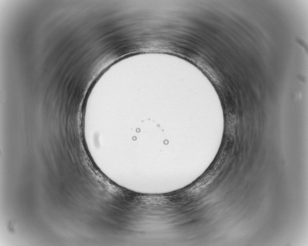 X0000098080856200804181157