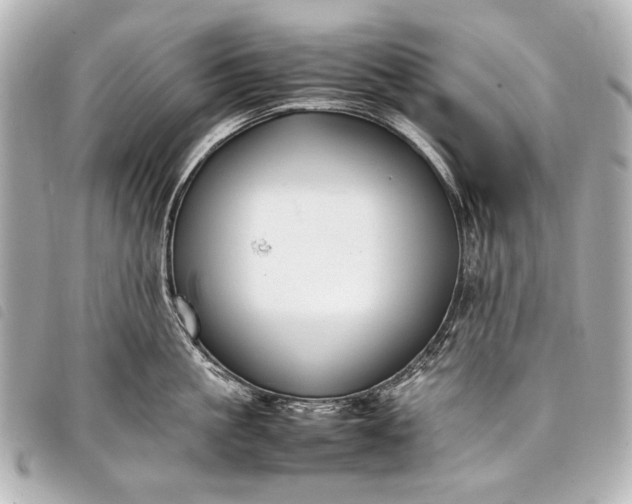 X0000098080861200804181157