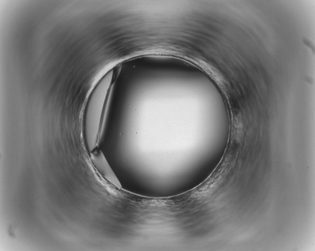 X0000098080862200804181157