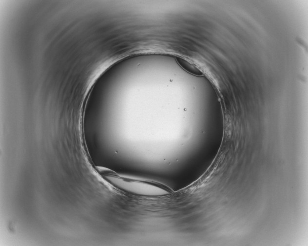 X0000098080863200804181157