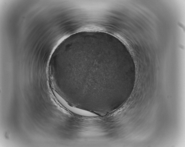 X0000098080864200804181157