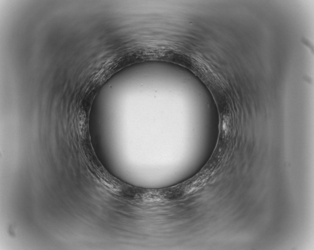 X0000098080867200804181156