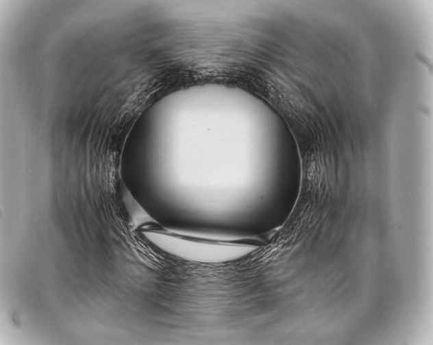 X0000098080868200804181156