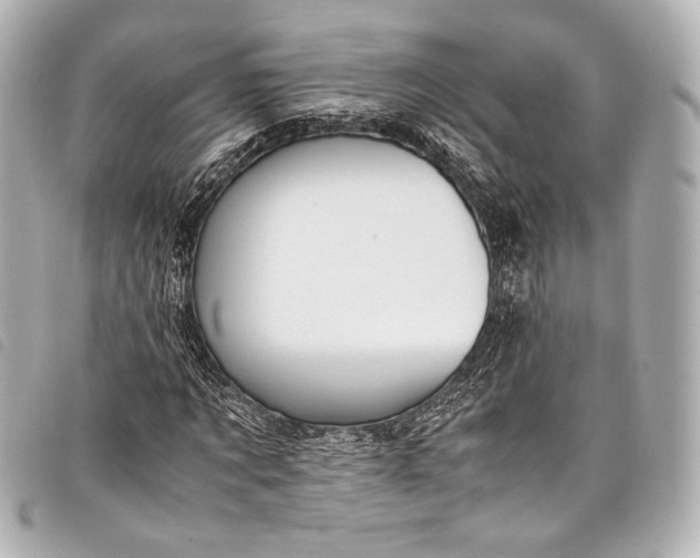 X0000098080869200804181156