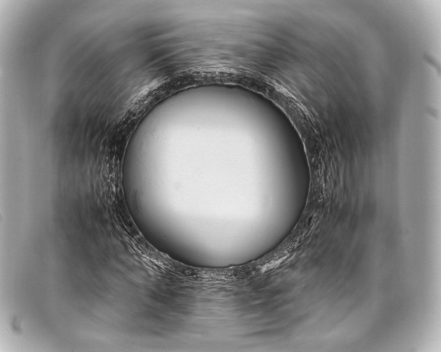 X0000098080870200804181156