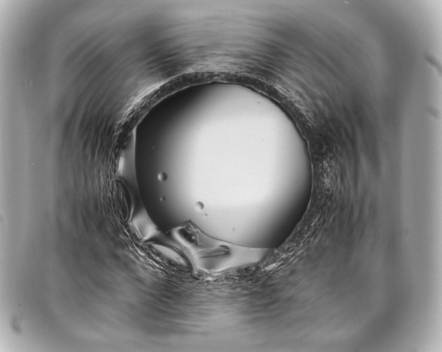 X0000098080872200804181156