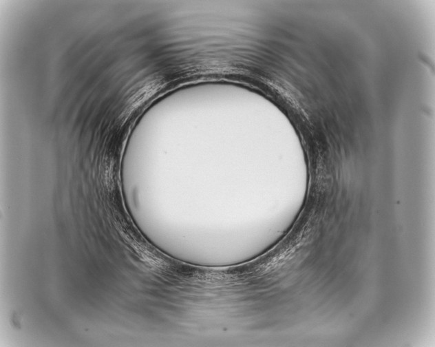 X0000098080873200804181156