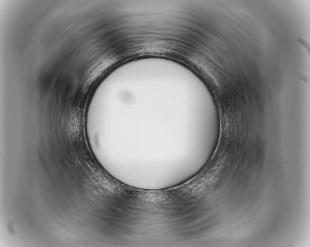 X0000098080874200804181156