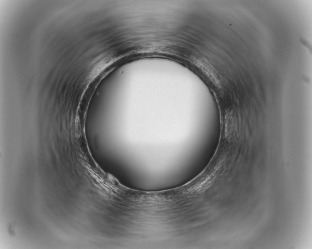 X0000098080876200804181156