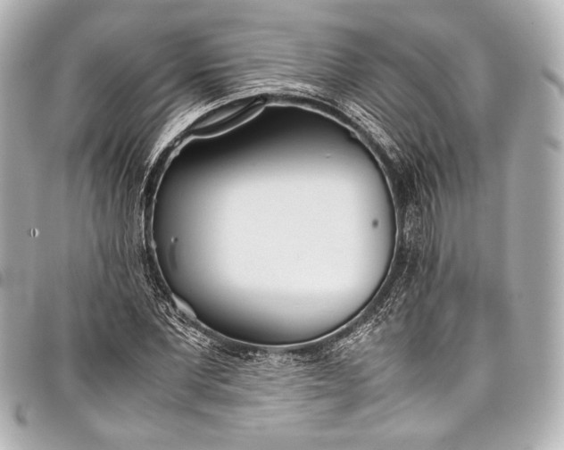 X0000098080877200804181156