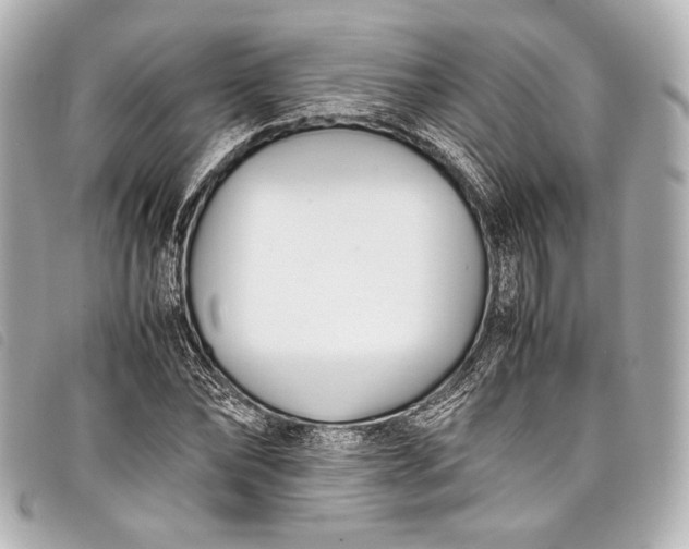 X0000098080878200804181156