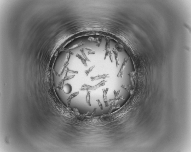 X0000098080879200804181156